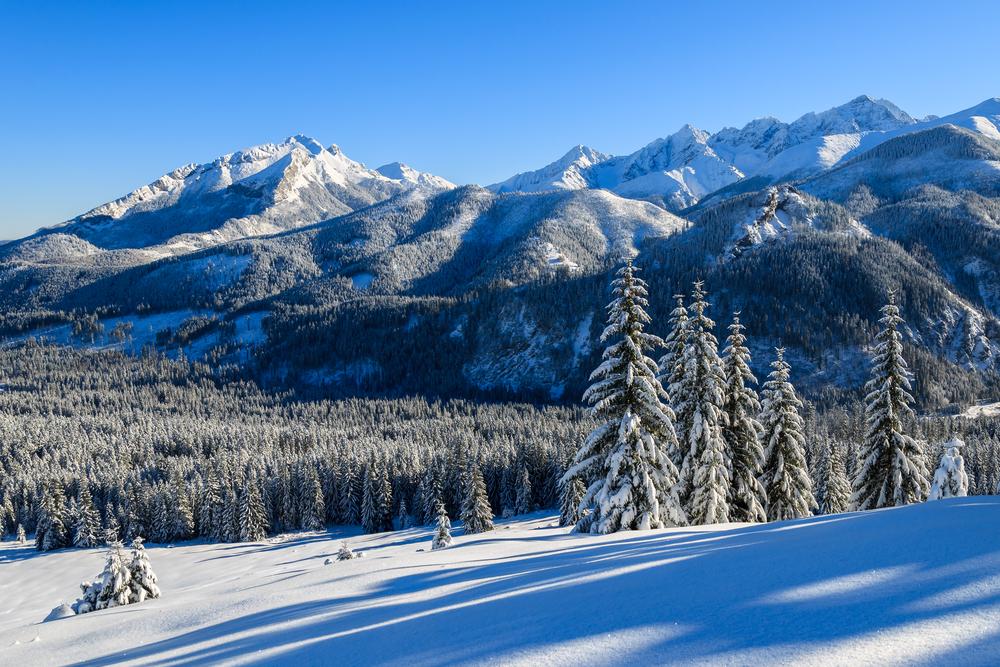 tatry_wysokie_polana_rusinowa_1000x1000_rozmiar-niestandardowy